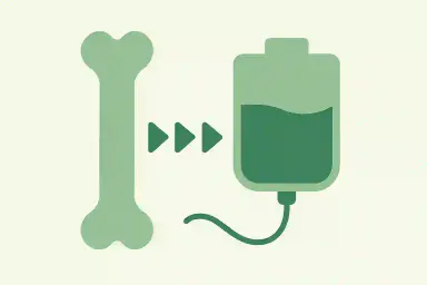 Bone Marrow Transplant